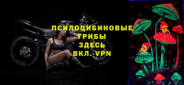 тгк Новокубанск