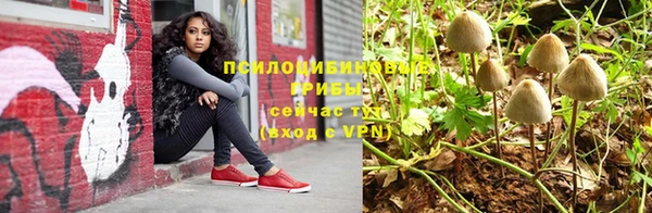 прущие крисы Нягань