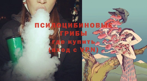 тгк Новокубанск