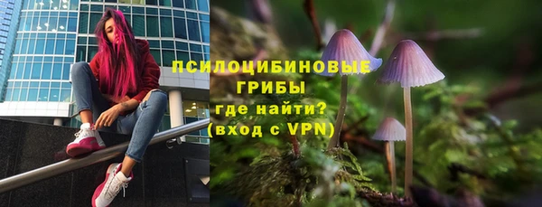 синтетический гашиш Няндома