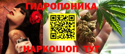 индика Абинск