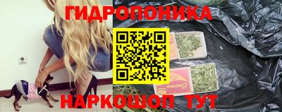 индика Абинск
