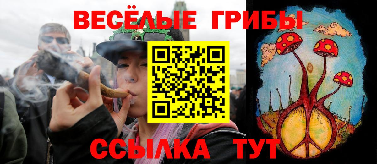 Псилоцибиновые грибы мицелий Анапа