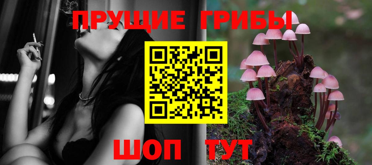 Псилоцибиновые грибы мицелий  Псилоцибиновые грибы Magic Shrooms  Анапа 